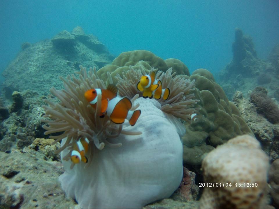 Libong Sea Breeze Resort المظهر الخارجي الصورة