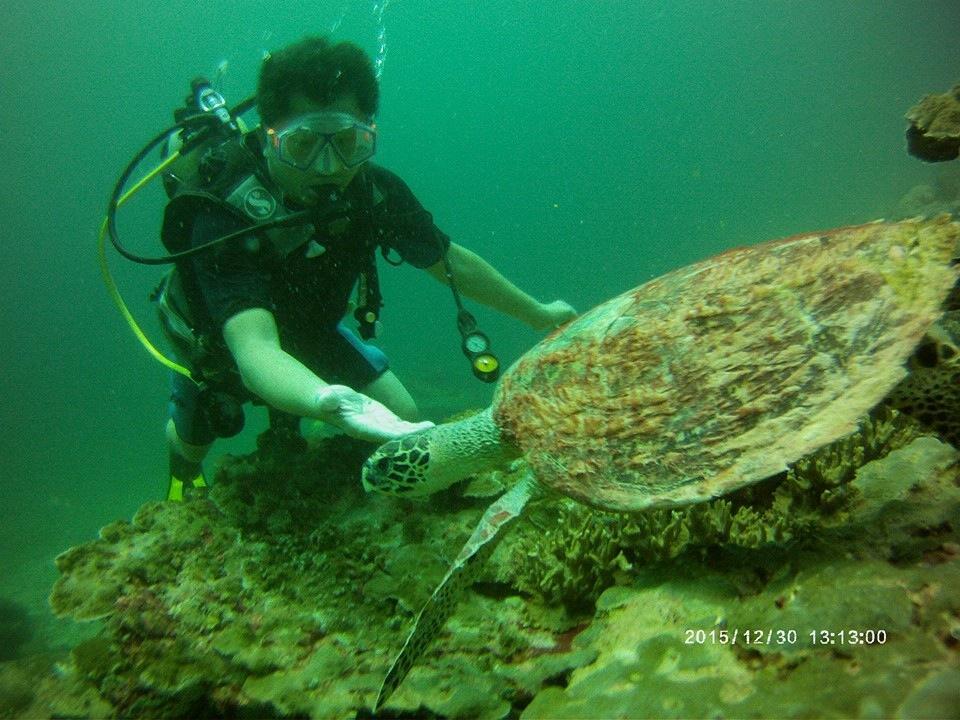 Libong Sea Breeze Resort المظهر الخارجي الصورة